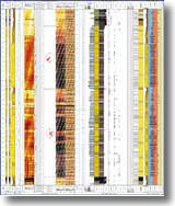 WellCAD Software RockWare
